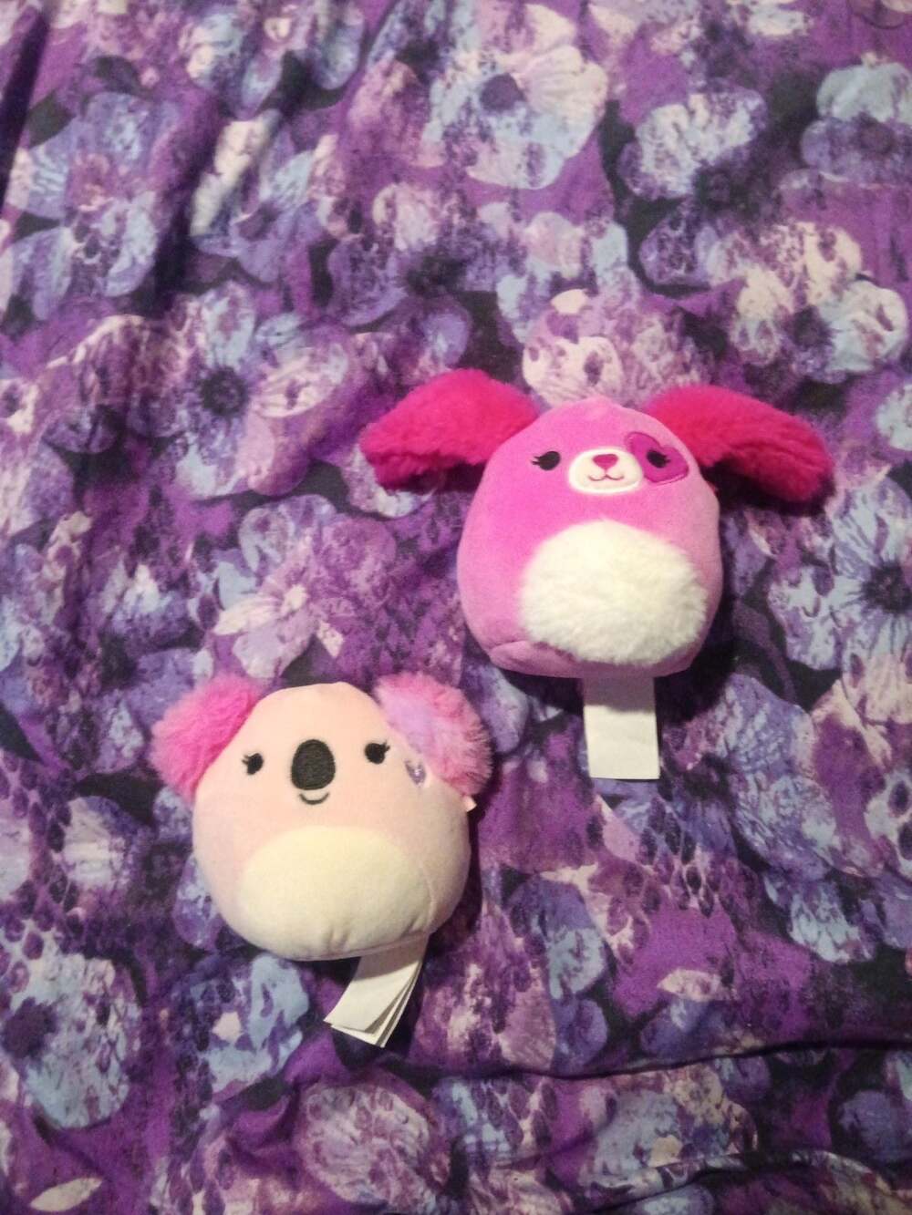 Adorable Pink Squishmallows Lot – Sager the Spaniel & Kaela the Koala